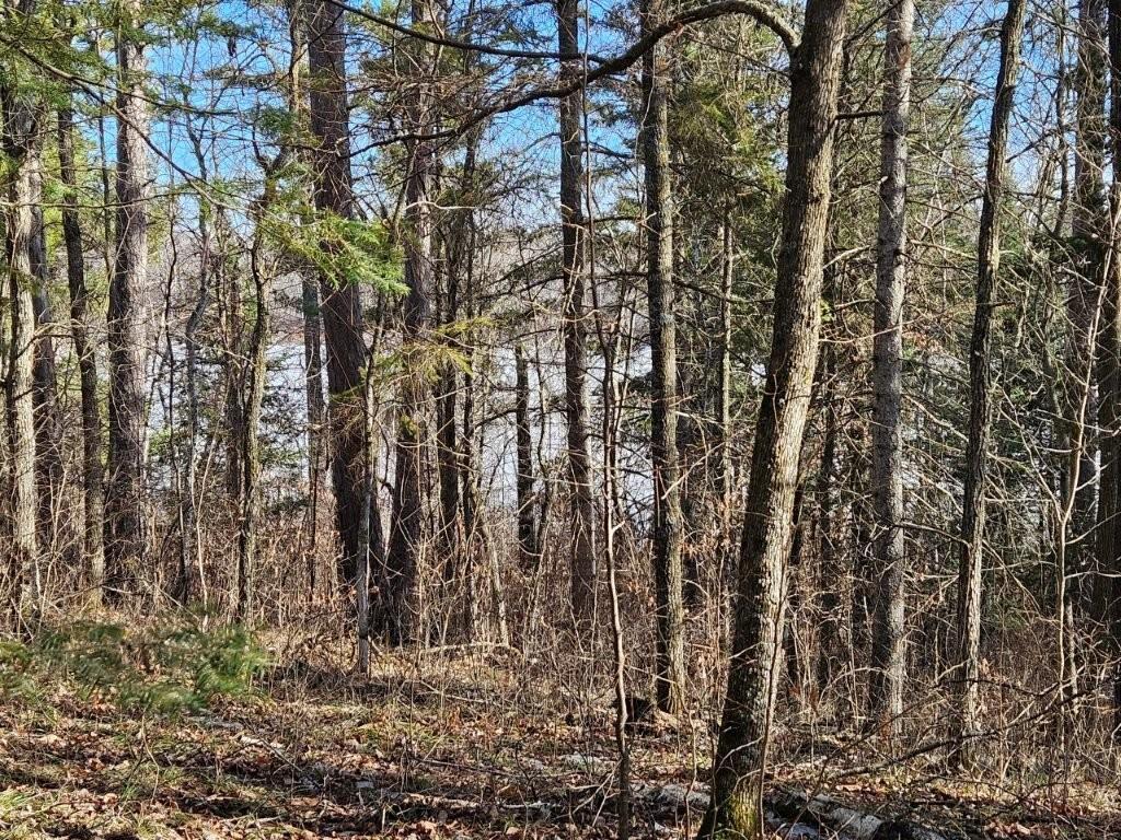 TBD Seaberg Lane Bagley MN 56621 7035905 image16