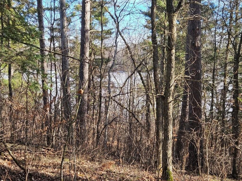 TBD Seaberg Lane Bagley MN 56621 7035905 image17