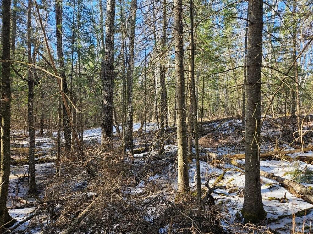 TBD Seaberg Lane Bagley MN 56621 7035905 image18