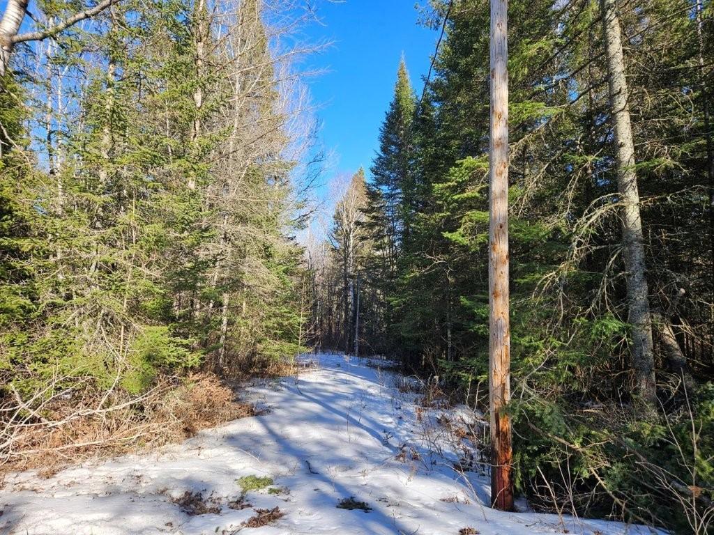 TBD Seaberg Lane Bagley MN 56621 7035905 image25