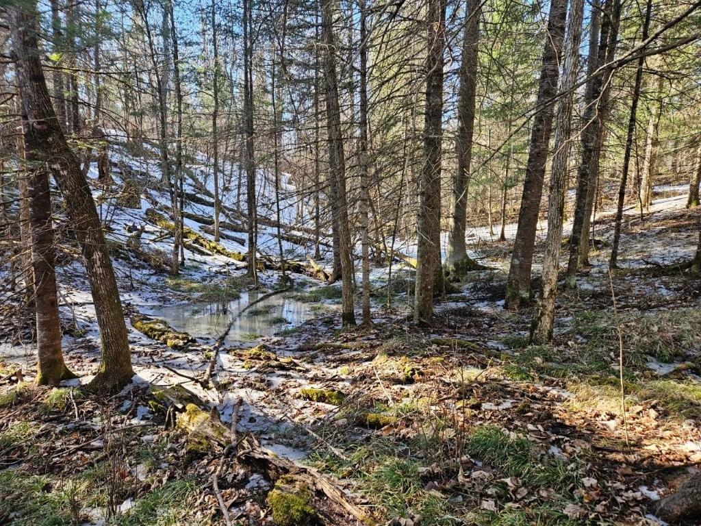TBD Seaberg Lane Bagley MN 56621 7035905 image4