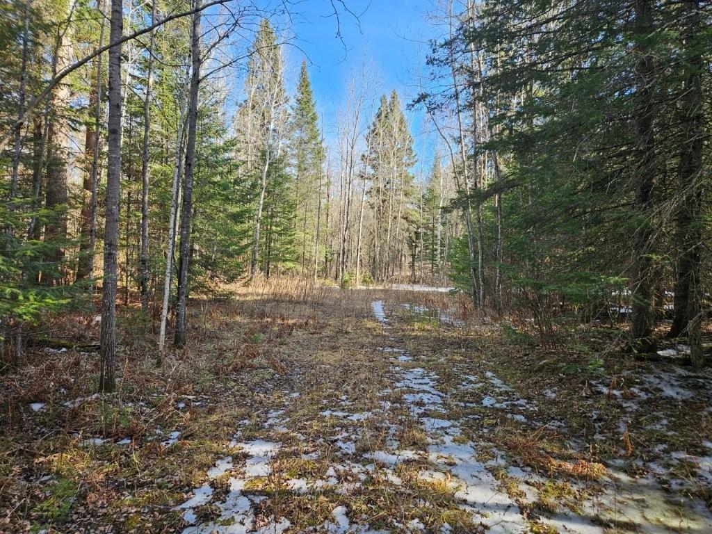 TBD Seaberg Lane Bagley MN 56621 7035905 image5