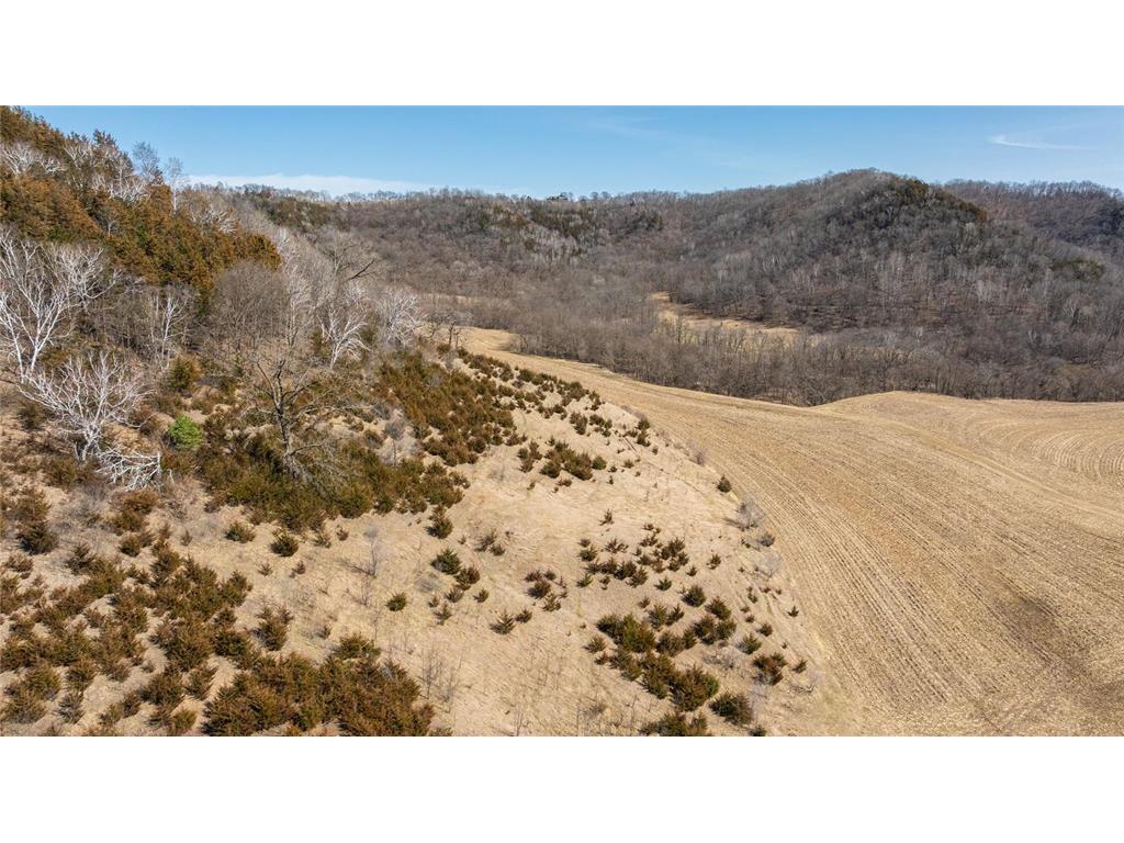TBD Semling Lane Milton WI 54629 7067425 image10