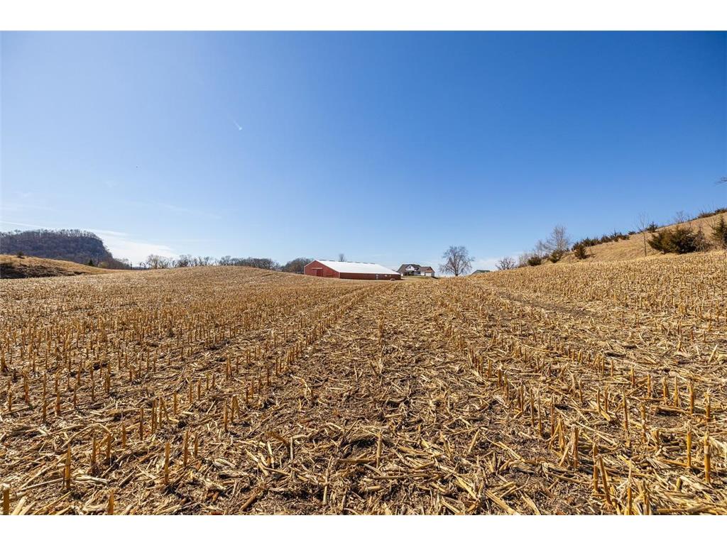 TBD Semling Lane Milton WI 54629 7067425 image15