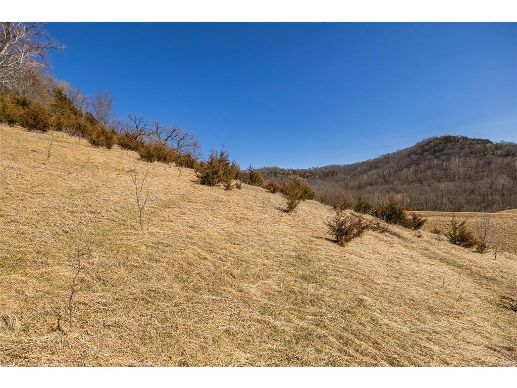 TBD Semling Lane Milton WI 54629 7067425 image17