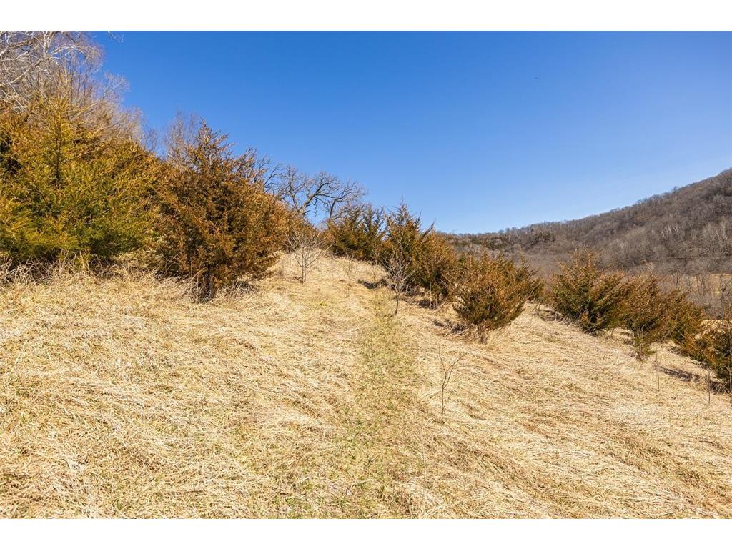 TBD Semling Lane Milton WI 54629 7067425 image19