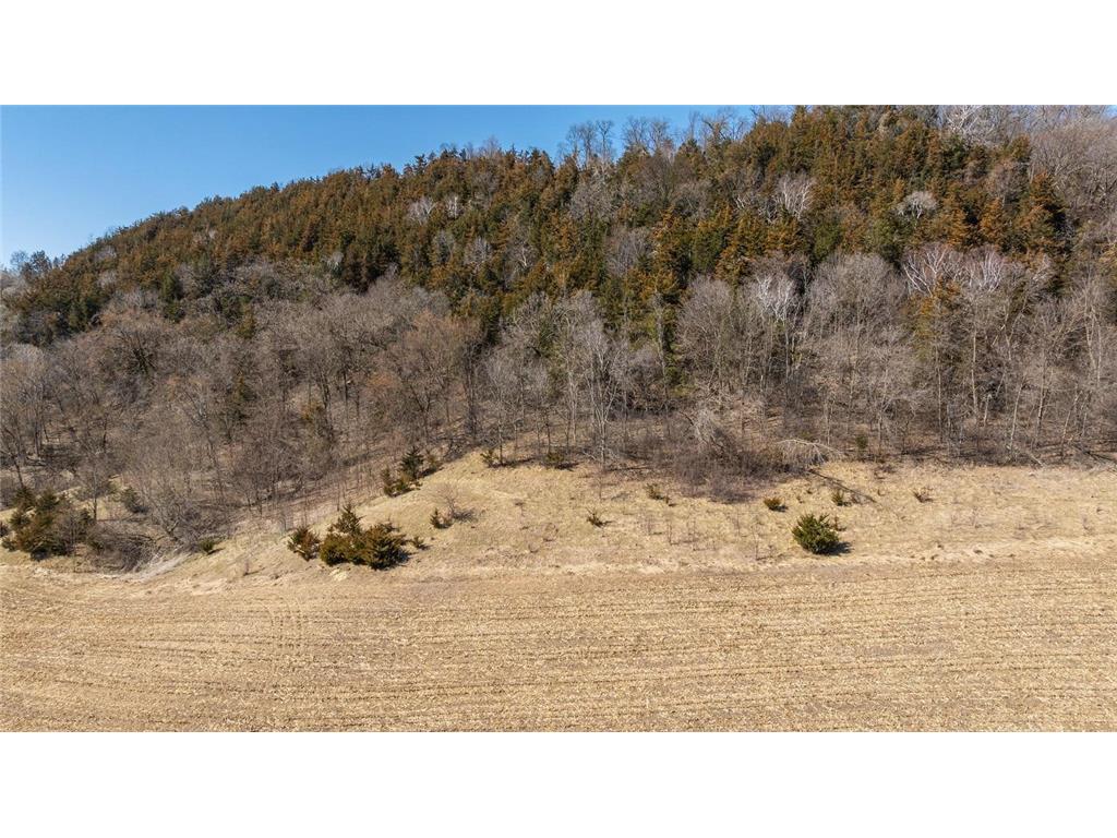 TBD Semling Lane Milton WI 54629 7067425 image2
