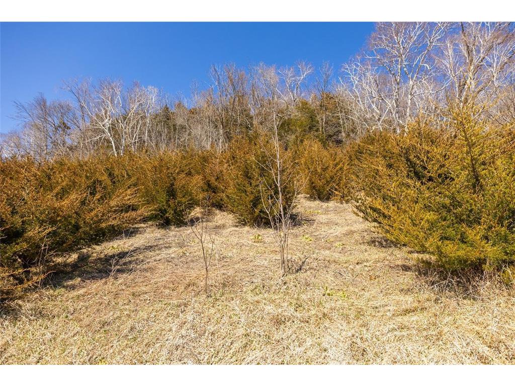 TBD Semling Lane Milton WI 54629 7067425 image20