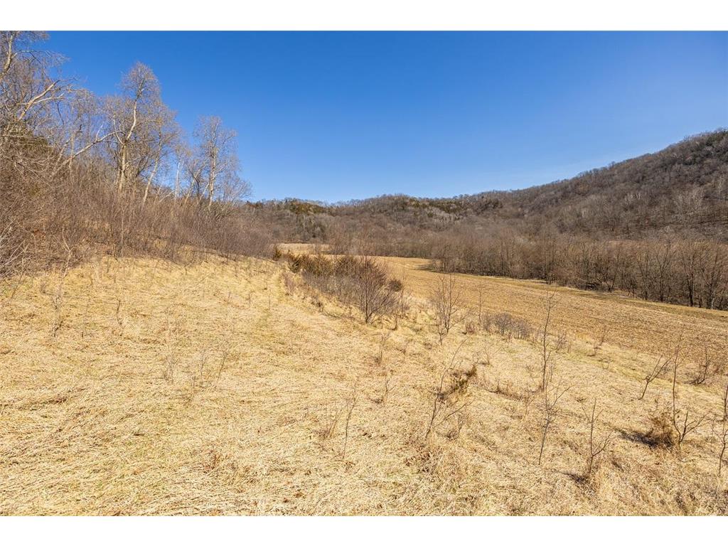TBD Semling Lane Milton WI 54629 7067425 image21