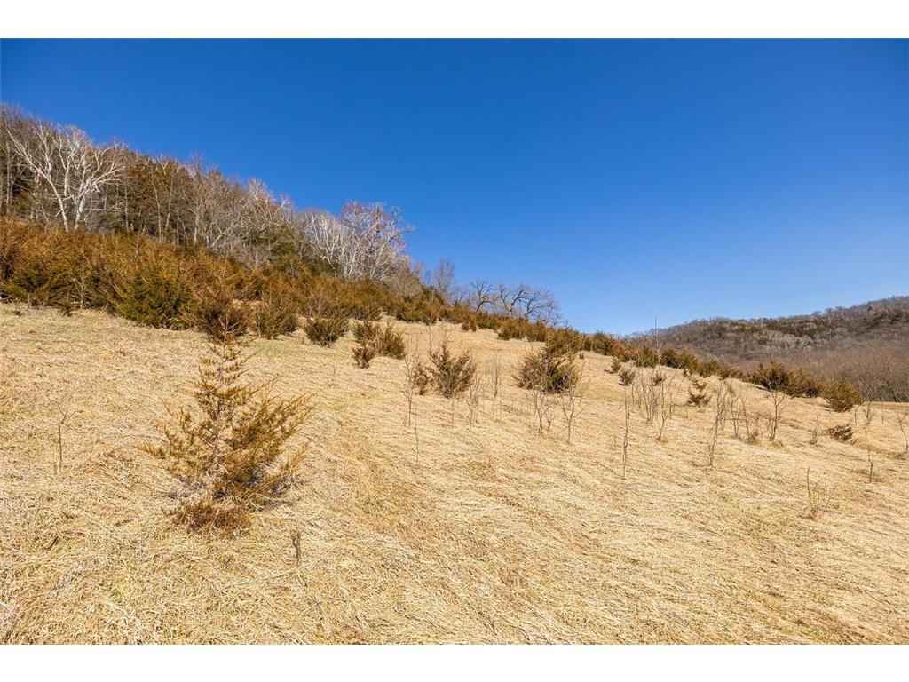 TBD Semling Lane Milton WI 54629 7067425 image24