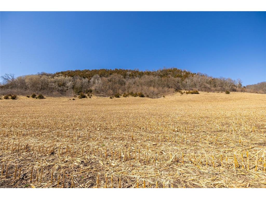 TBD Semling Lane Milton WI 54629 7067425 image25