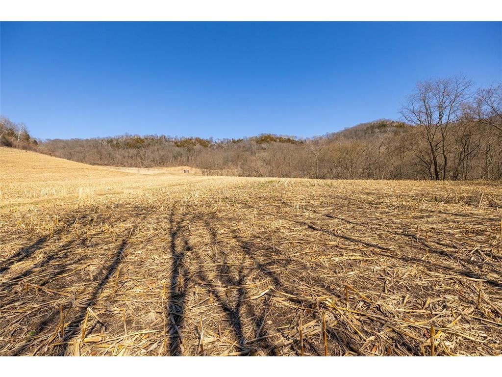 TBD Semling Lane Milton WI 54629 7067425 image26
