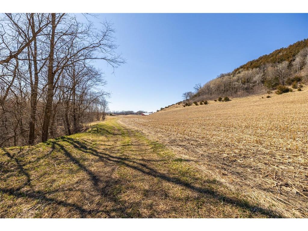 TBD Semling Lane Milton WI 54629 7067425 image28
