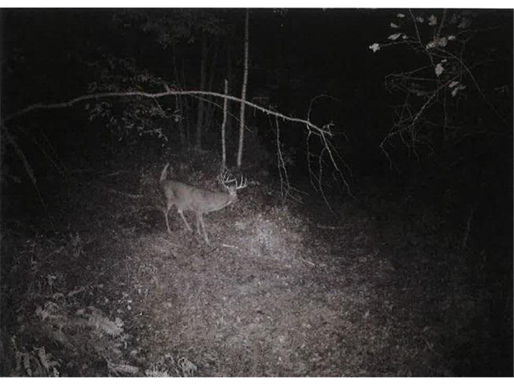 TBD Semling Lane Milton WI 54629 7067425 image29