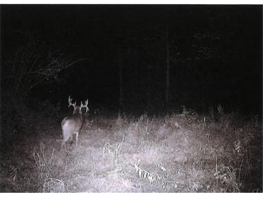 TBD Semling Lane Milton WI 54629 7067425 image30