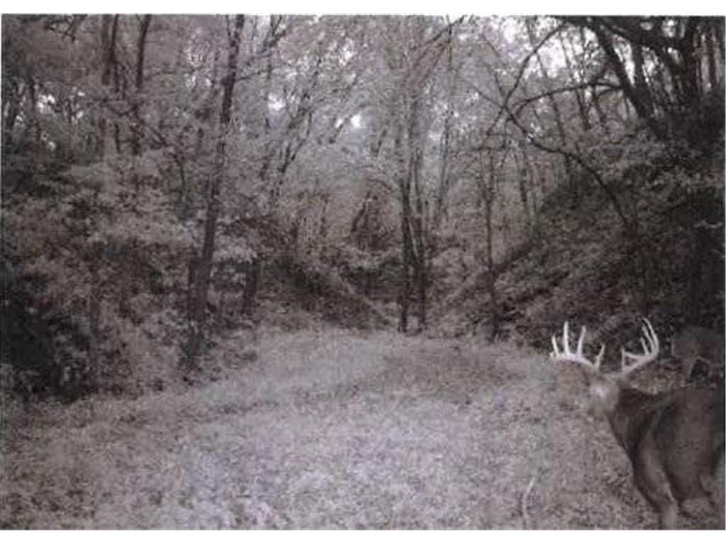 TBD Semling Lane Milton WI 54629 7067425 image31
