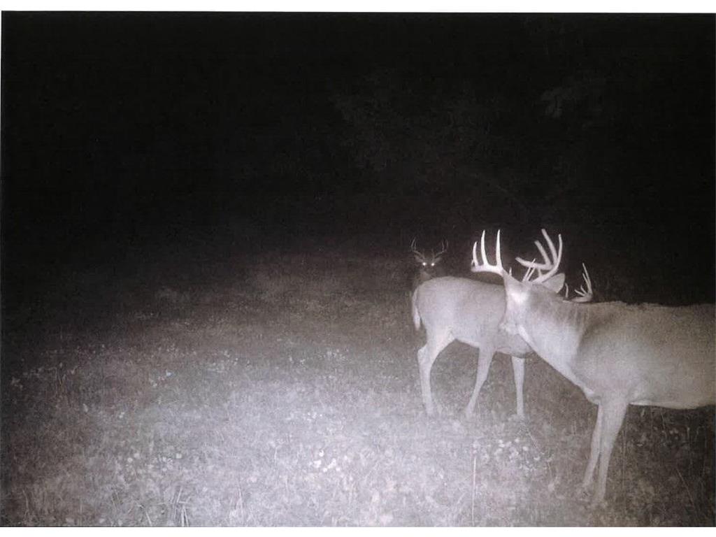 TBD Semling Lane Milton WI 54629 7067425 image32