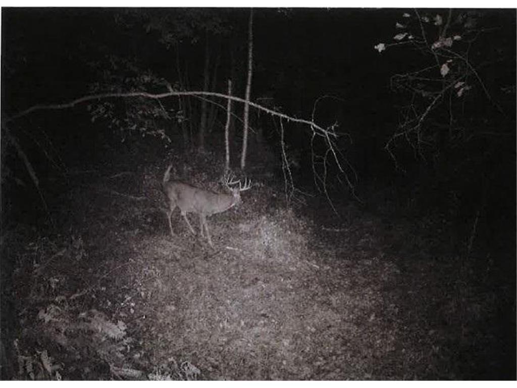 TBD Semling Lane Milton WI 54629 7067425 image33