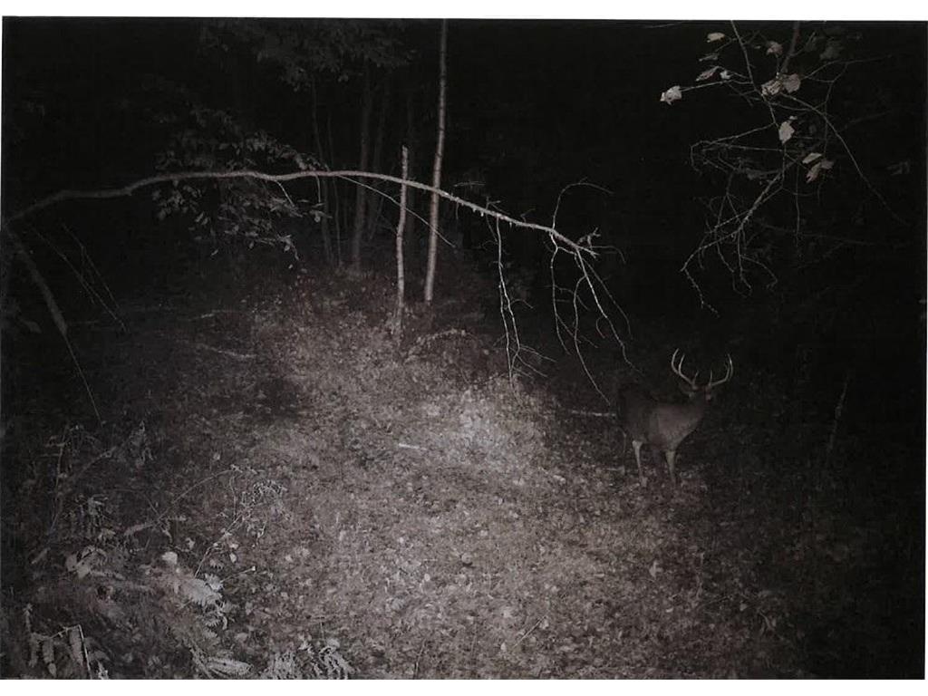 TBD Semling Lane Milton WI 54629 7067425 image34