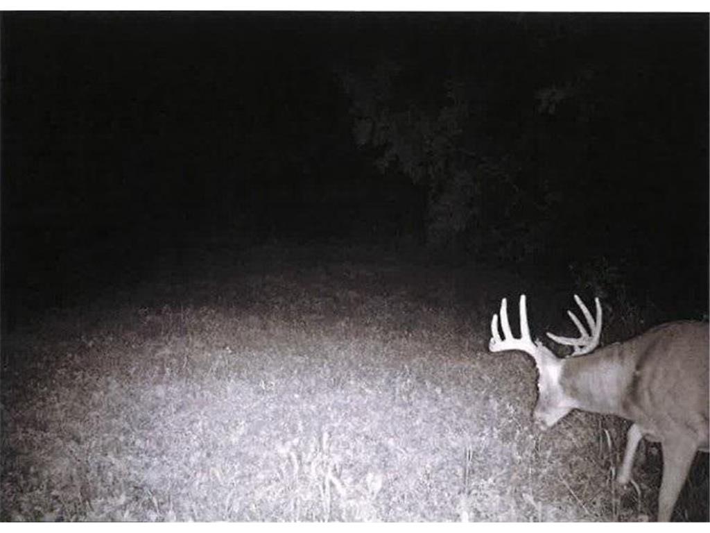 TBD Semling Lane Milton WI 54629 7067425 image36