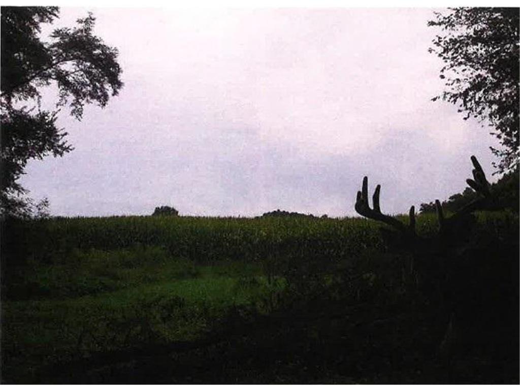 TBD Semling Lane Milton WI 54629 7067425 image37