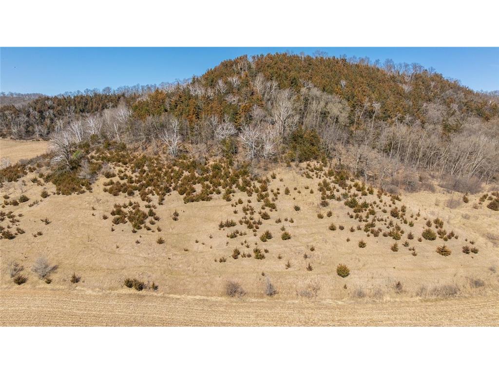 TBD Semling Lane Milton WI 54629 7067425 image6