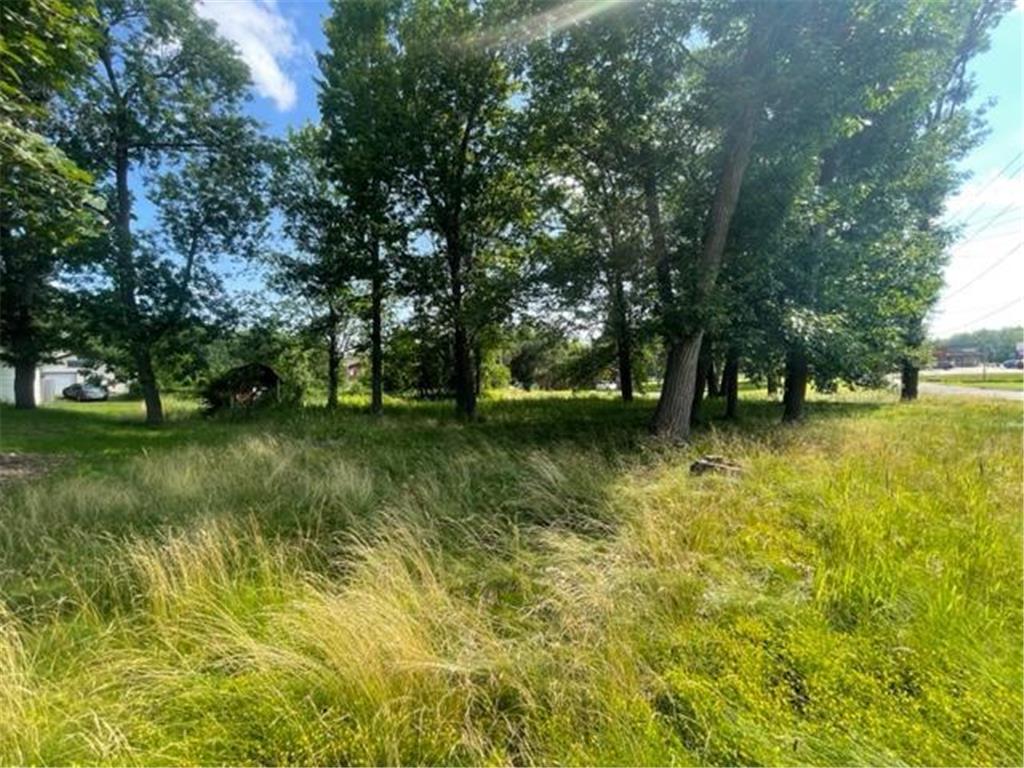 TBD Serpent Rd Road E Deerwood MN 56444 6568739 image1