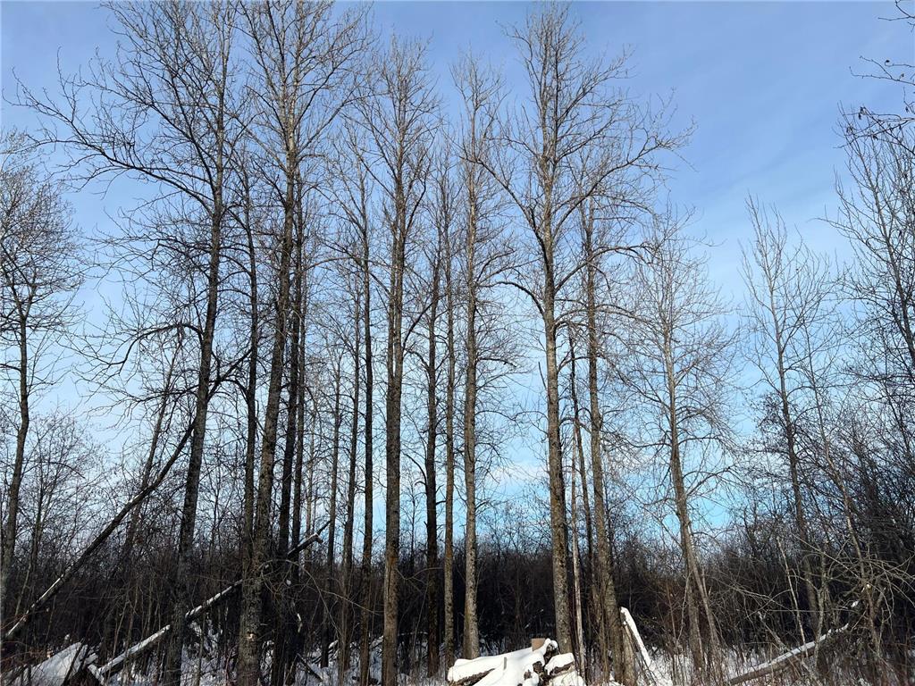 TBD Seville Road Saginaw MN 55779 6825400 image18