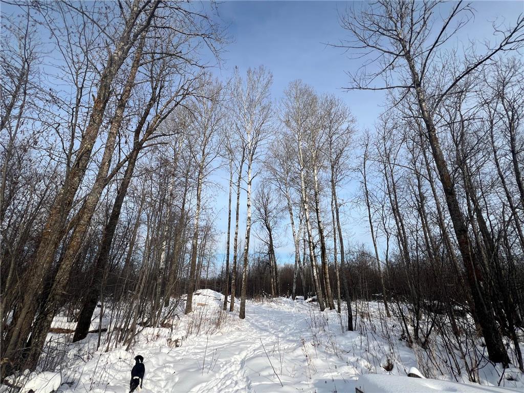 TBD Seville Road Saginaw MN 55779 6825400 image6