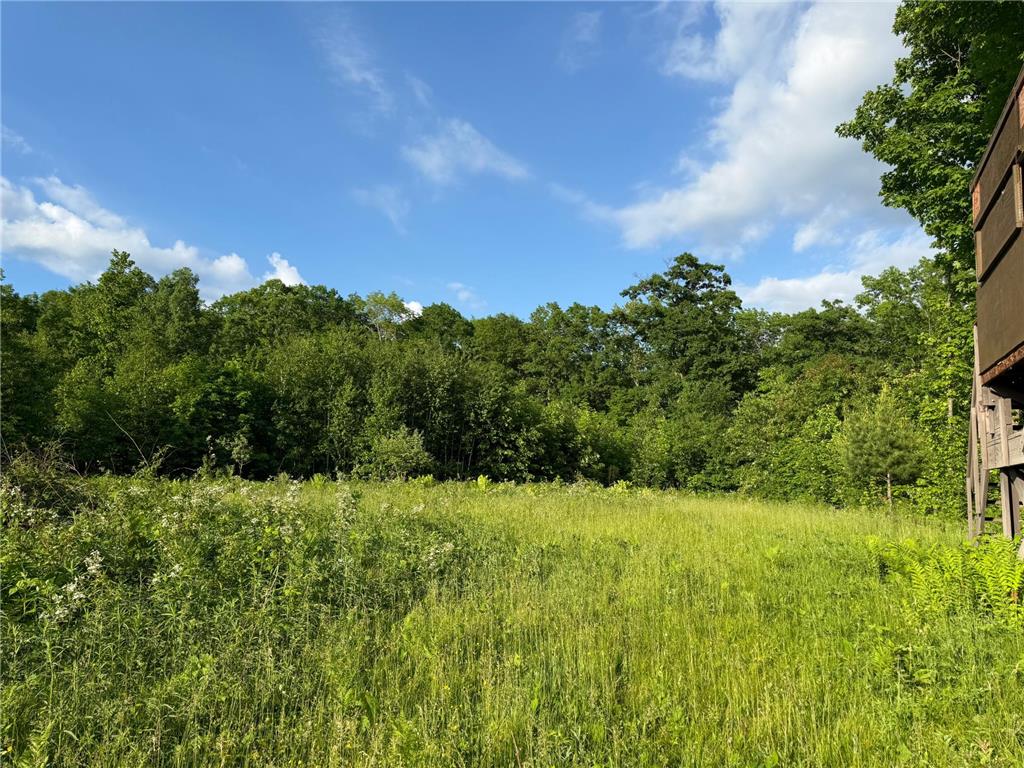 TBD Shady Lane Brooklyn WI 54888 7090161 image1
