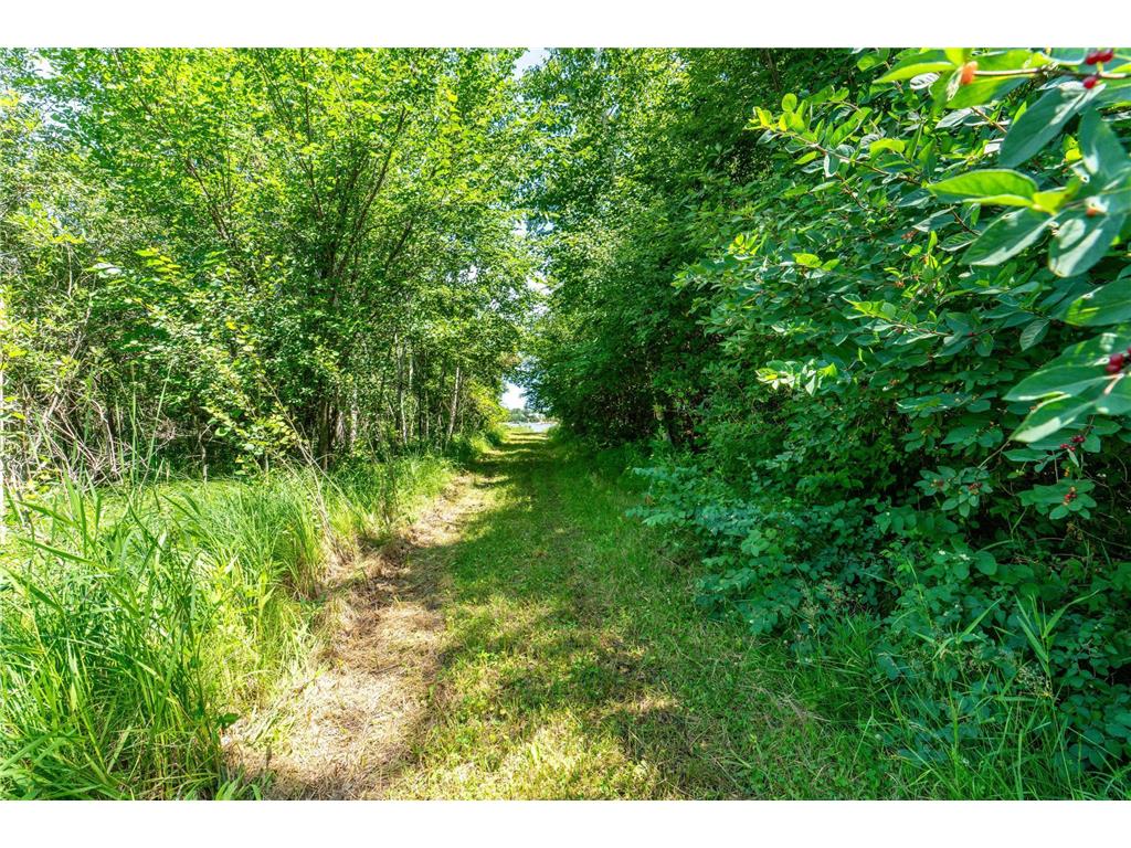 TBD Shady Nook Drive Underwood MN 56586 - Pickerel Lake 7058140 image10