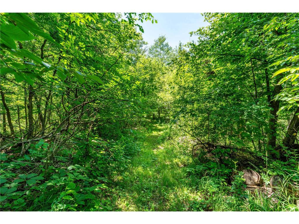 TBD Shady Nook Drive Underwood MN 56586 - Pickerel Lake 7058140 image12