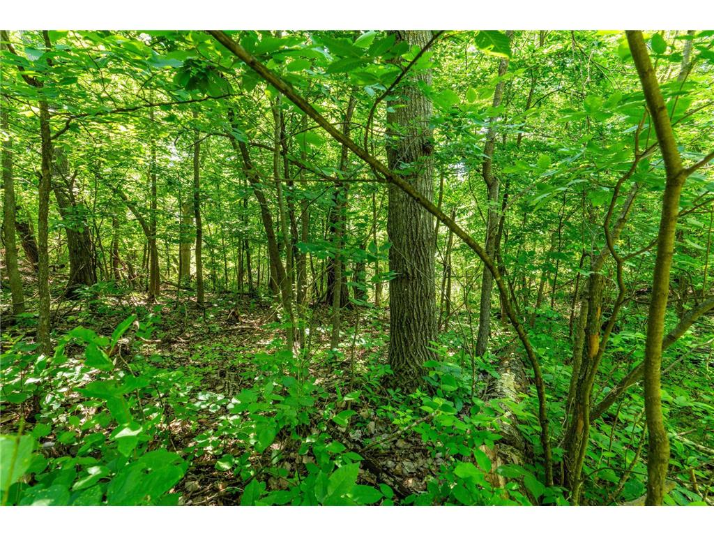 TBD Shady Nook Drive Underwood MN 56586 - Pickerel Lake 7058140 image13