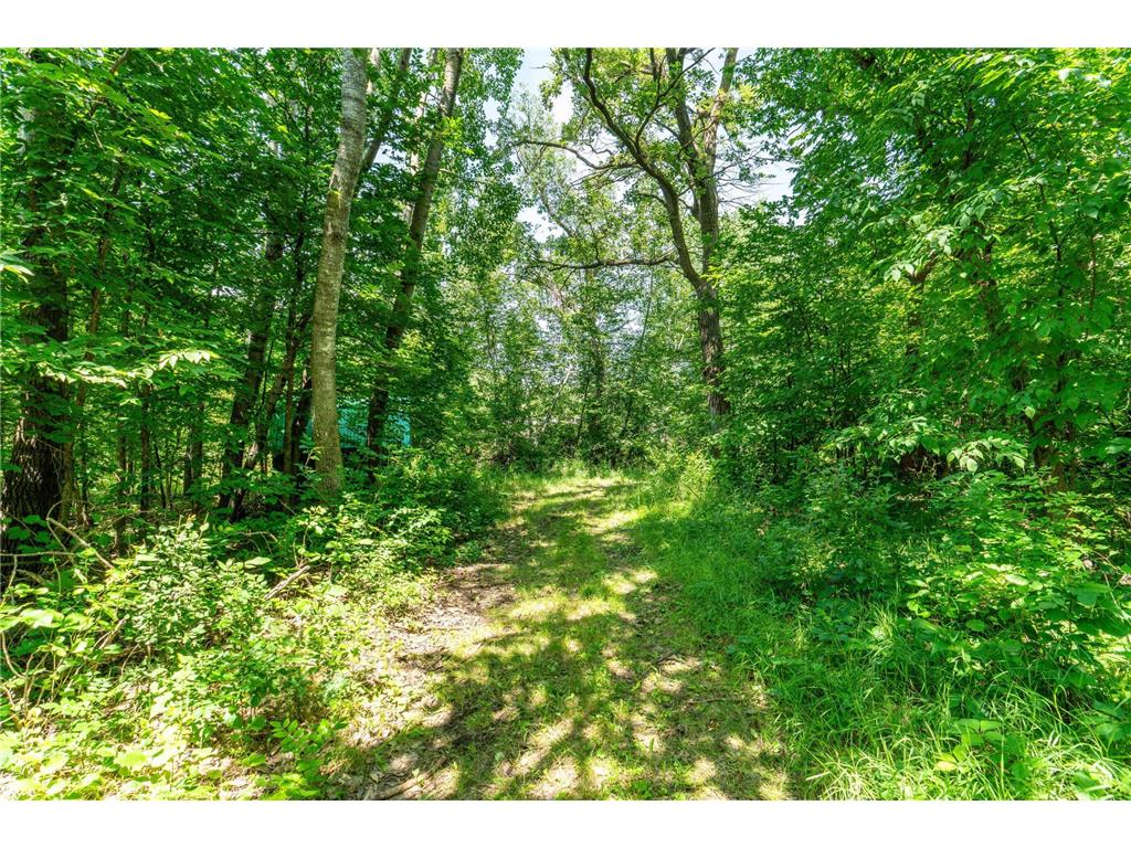 TBD Shady Nook Drive Underwood MN 56586 - Pickerel Lake 7058140 image14