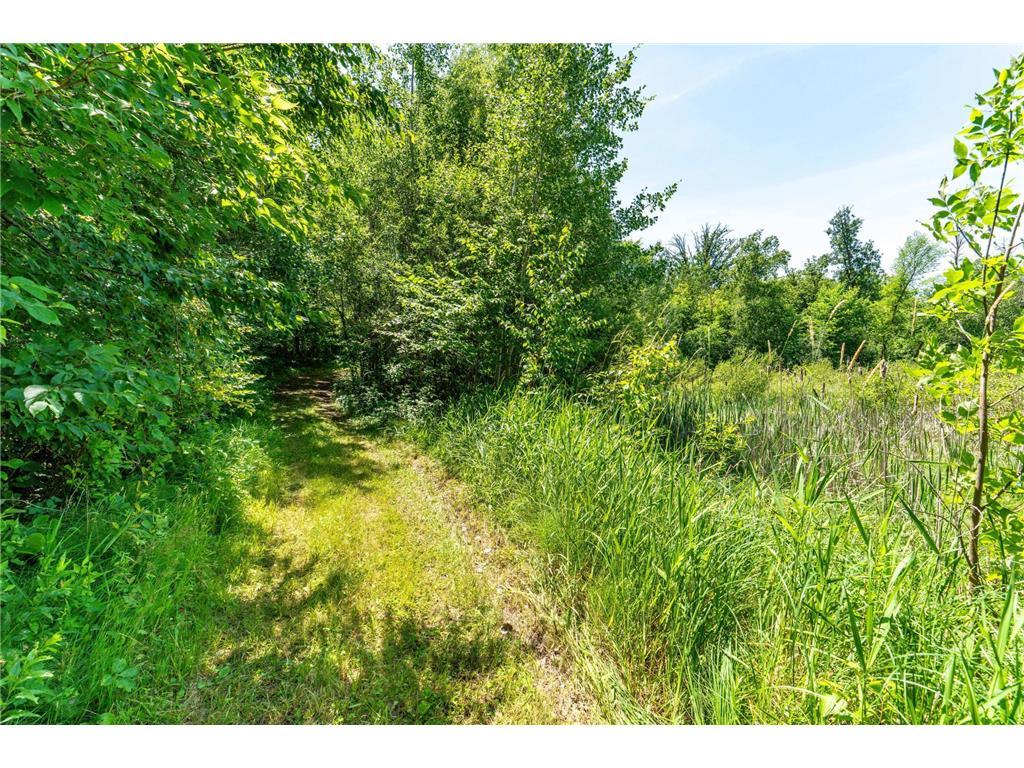 TBD Shady Nook Drive Underwood MN 56586 - Pickerel Lake 7058140 image15