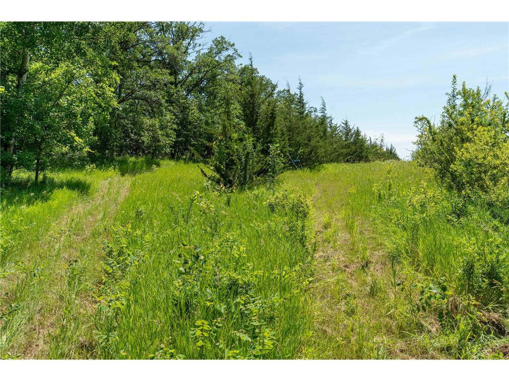 TBD Shady Nook Drive Underwood MN 56586 - Pickerel Lake 7058140 image19
