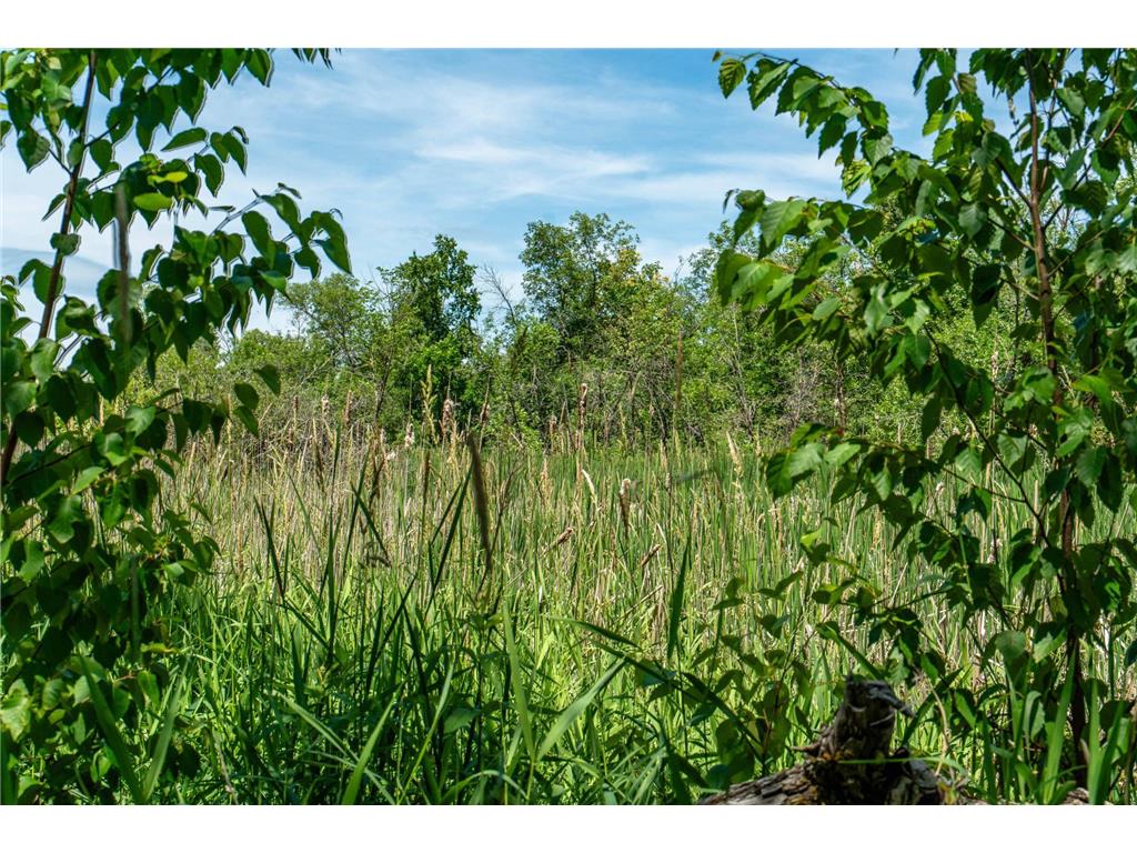 TBD Shady Nook Drive Underwood MN 56586 - Pickerel Lake 7058140 image20