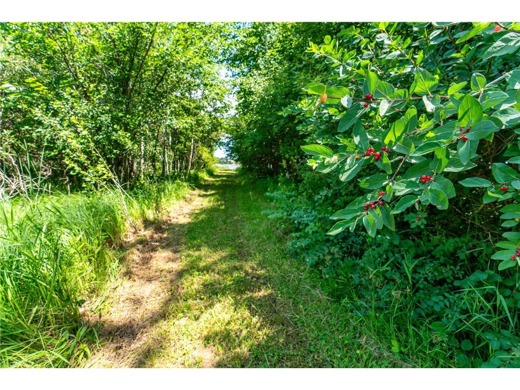 TBD Shady Nook Drive Underwood MN 56586 - Pickerel Lake 7058140 image9