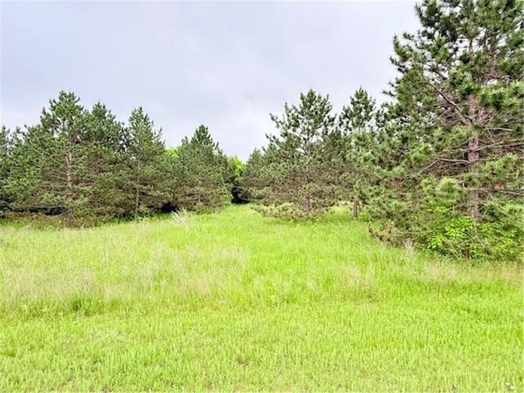 TBD Shelby Drive NE Bemidji MN 56601 6739332 image1