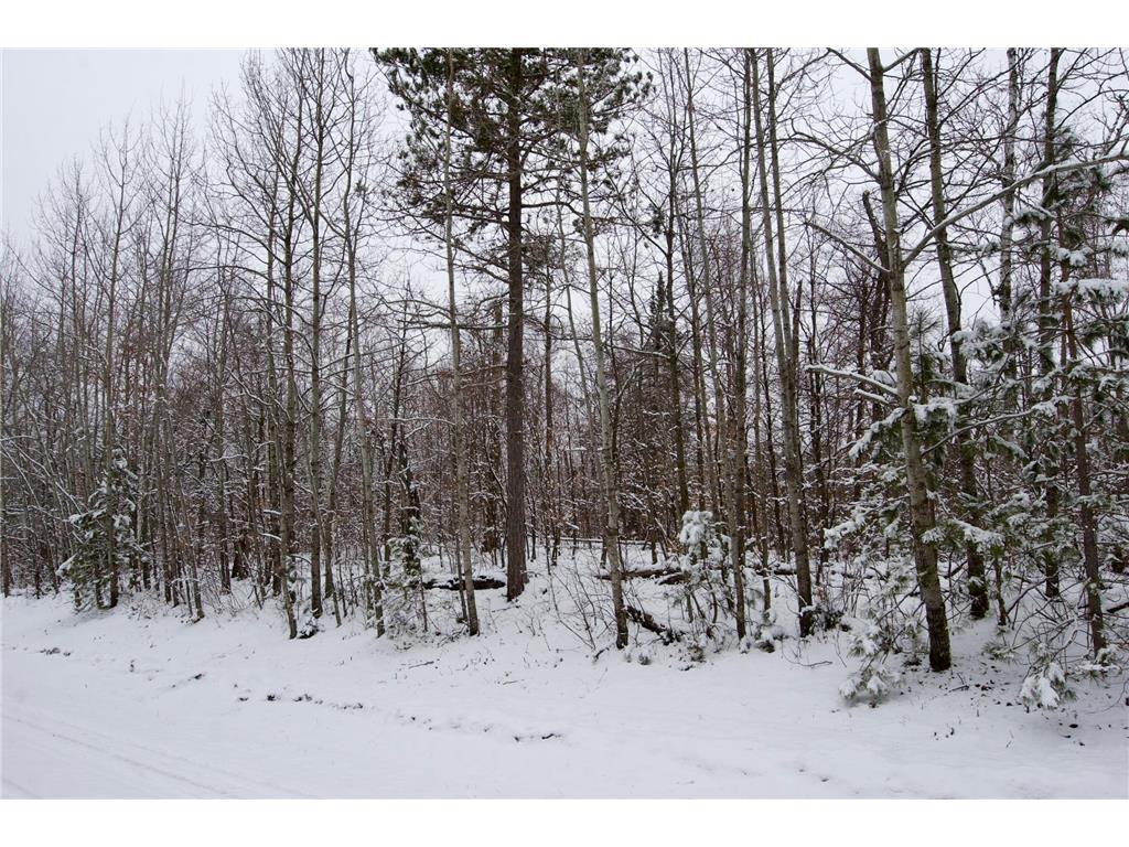 TBD Sheridan Woods Lane NE Crooked Lake Twp MN 56662 7036286 image2