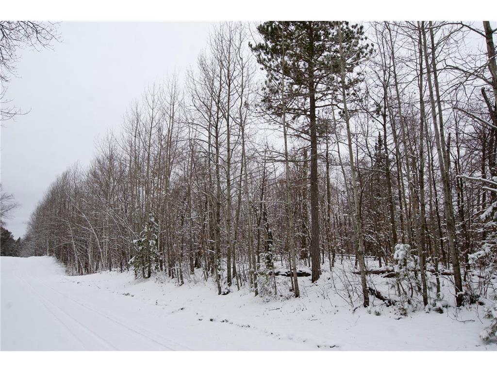 TBD Sheridan Woods Lane NE Crooked Lake Twp MN 56662 7036286 image3