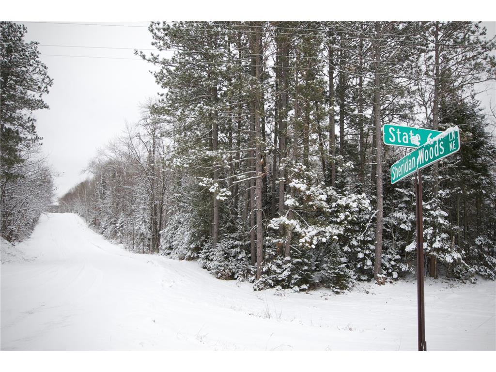 TBD Sheridan Woods Lane NE Crooked Lake Twp MN 56662 7036286 image6