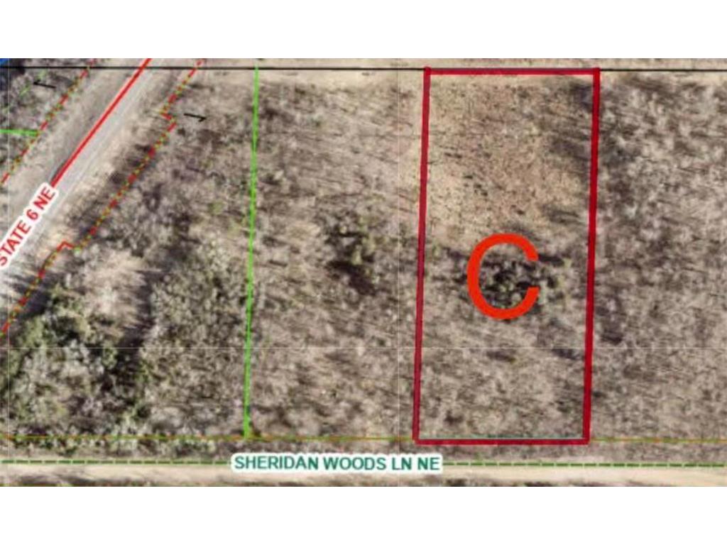 TBD Sheridan Woods Lane NE Crooked Lake Twp MN 56662 7036286 image7