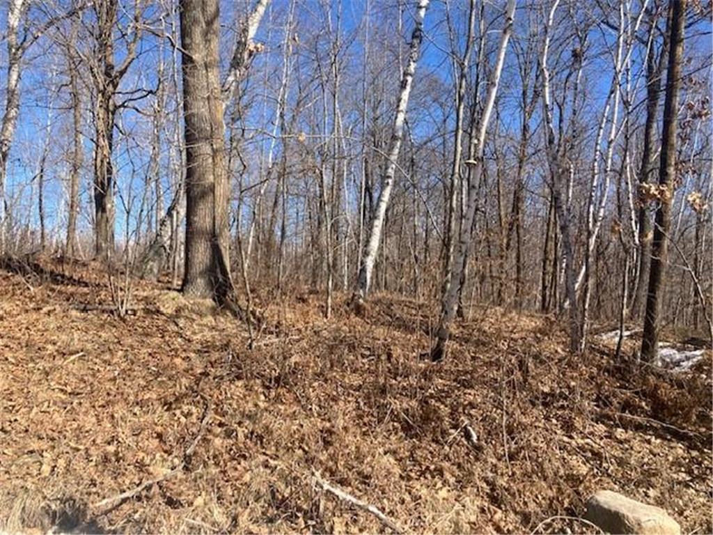 TBD Sherwood Drive SW Meadowbrook Twp MN 56466 7072457 image1