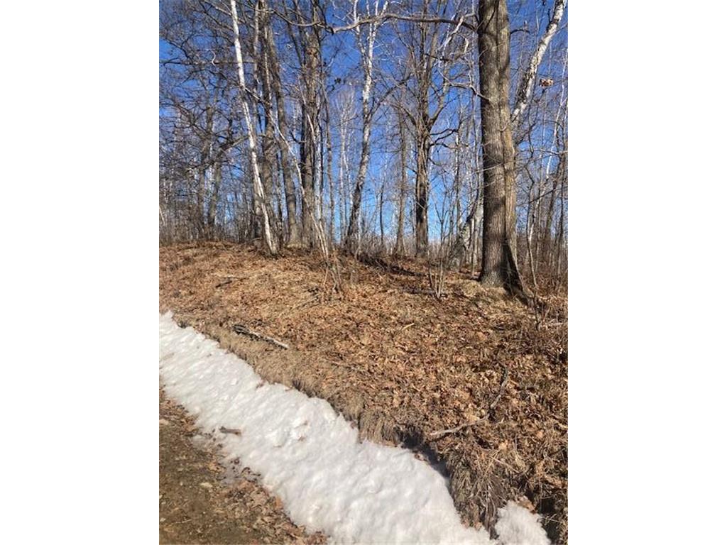 TBD Sherwood Drive SW Meadowbrook Twp MN 56466 7072457 image2