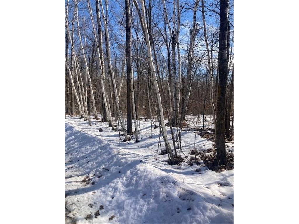 TBD Sherwood Drive SW Meadowbrook Twp MN 56466 7072457 image3