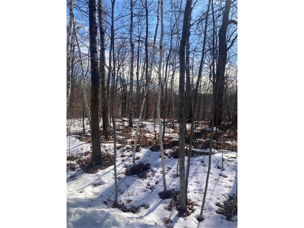 TBD Sherwood Drive SW Meadowbrook Twp MN 56466 7072457 image4