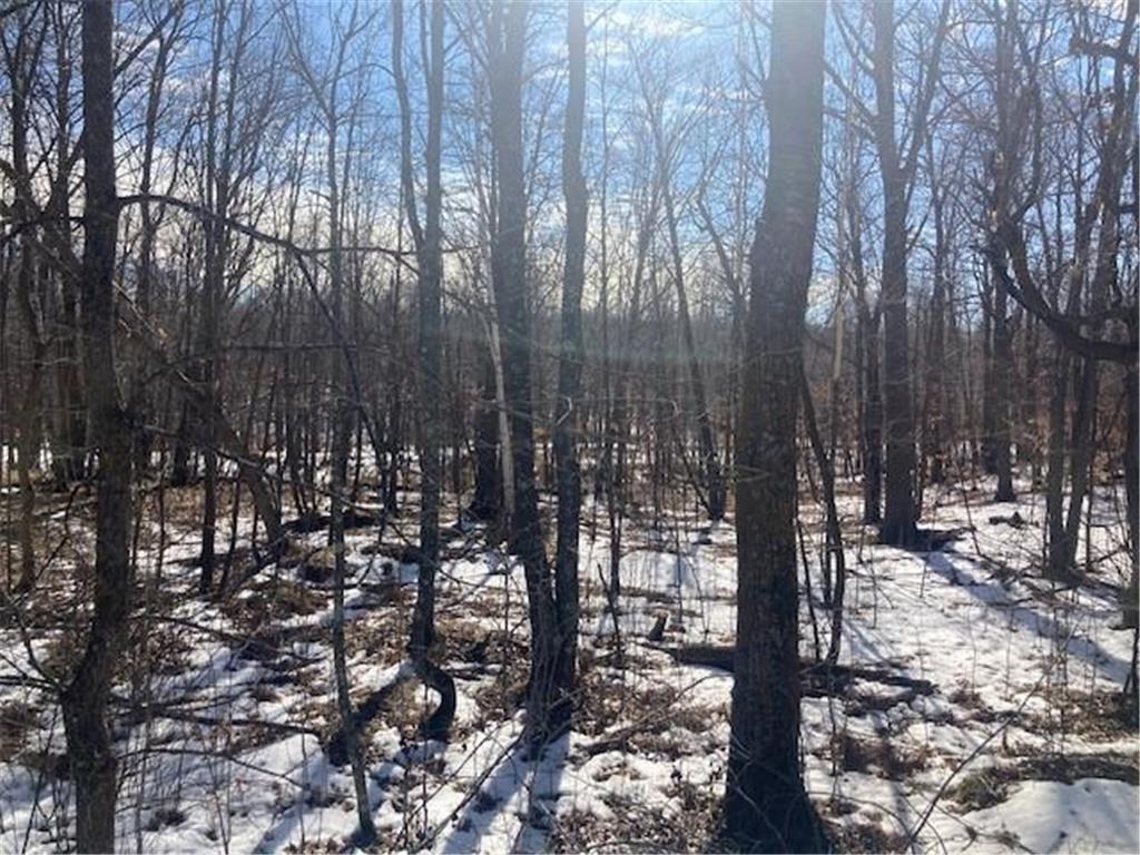 TBD Sherwood Drive SW Meadowbrook Twp MN 56466 7072457 image6