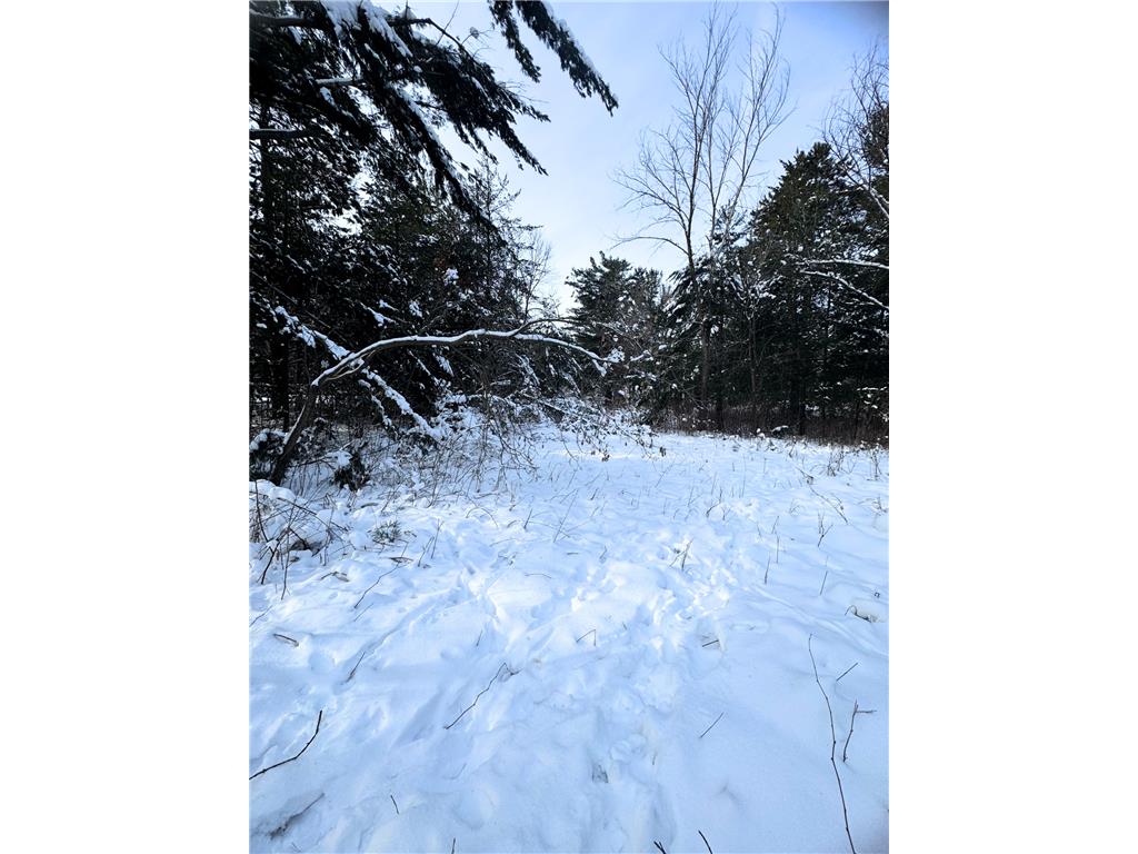 TBD Shoreline Drive Little Falls MN 56345 - Mississippi 6824169 image10