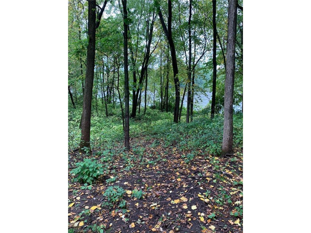 TBD Shoreline Drive Little Falls MN 56345 - Mississippi 6824169 image2